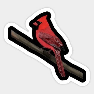 Northern Cardinal Bird Illustration Backyard Birds Sticker